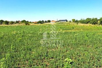 Teren, intrarea in Zadareni anunturi imobiliare Arad