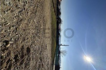 Teren Intravilan de vanzare ALESD  - Bihor anunturi imobiliare Bihor