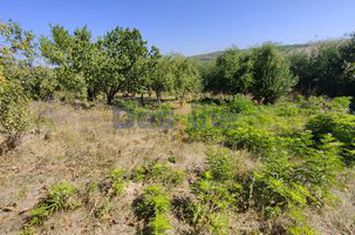 Casă - 4 camere de vanzare HARPASESTI - Iasi anunturi imobiliare Iasi