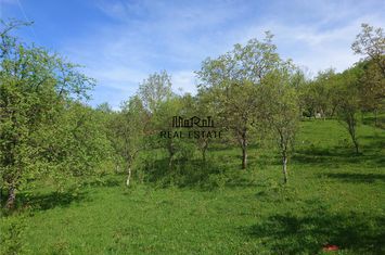 Teren Intravilan de vanzare BLAJENI - Hunedoara anunturi imobiliare Hunedoara