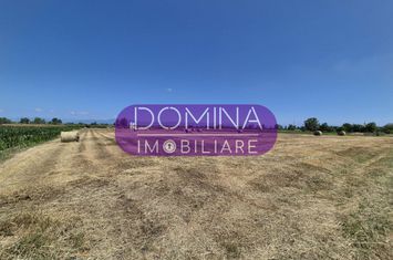 Teren de vanzare DRAGUTESTI - Gorj anunturi imobiliare Gorj