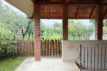 Casa noua cu livada de vanzare in Betfia, Bihor anunturi imobiliare Bihor