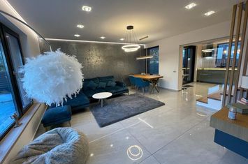 Modern villa, Iancu Nicolae area anunturi imobiliare Bucuresti