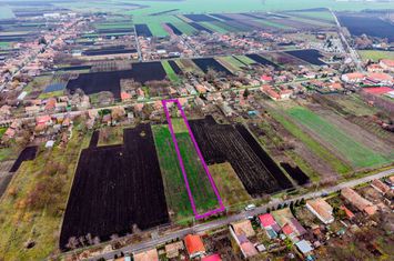 Casă în Dorobanți cu livadă + curte 2500 mp anunturi imobiliare Arad