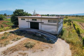 Spațiu comercial 250 mp + 250 mp auxiliare, Arkadikos anunturi imobiliare Grecia