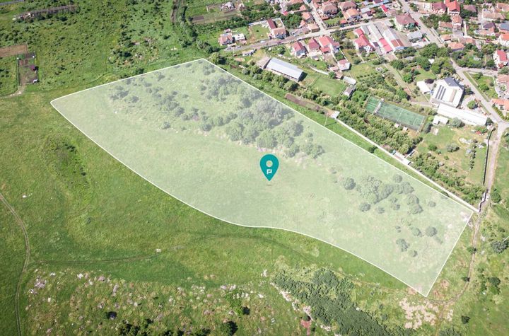 Teren intravilan 20.800 mp, Grădiște anunturi imobiliare Arad