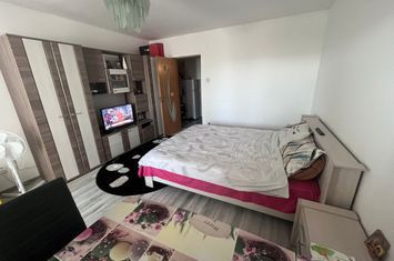 Garsonieră de vanzare BRAZDA LUI NOVAC - Dolj anunturi imobiliare Dolj