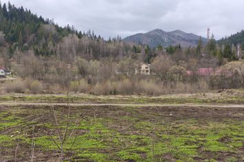 Teren de vanzare SUCEVITA - Suceava anunturi imobiliare Suceava