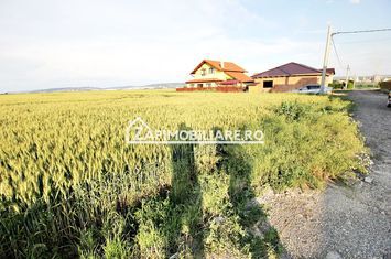 Teren intravilan 525 mp.50euro mp. anunturi imobiliare Mures