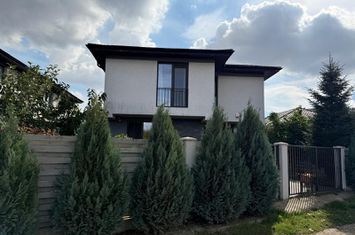 Vila Corbeanca Petresti Hornbach anunturi imobiliare Bucuresti