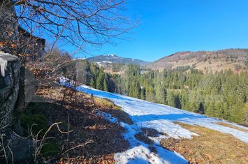 Teren de vanzare GALBENA - Alba anunturi imobiliare Alba
