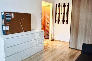 Apartament cu o camera,zona Dambovita anunturi imobiliare Timis