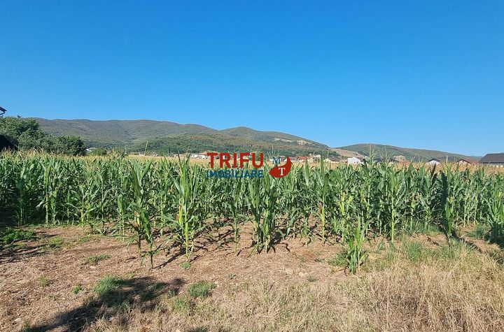 Teren Intravilan de vanzare CENTRAL - Alba anunturi imobiliare Alba