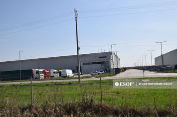 Spațiu industrial de inchiriat BOLINTIN-DEAL - Giurgiu anunturi imobiliare Giurgiu