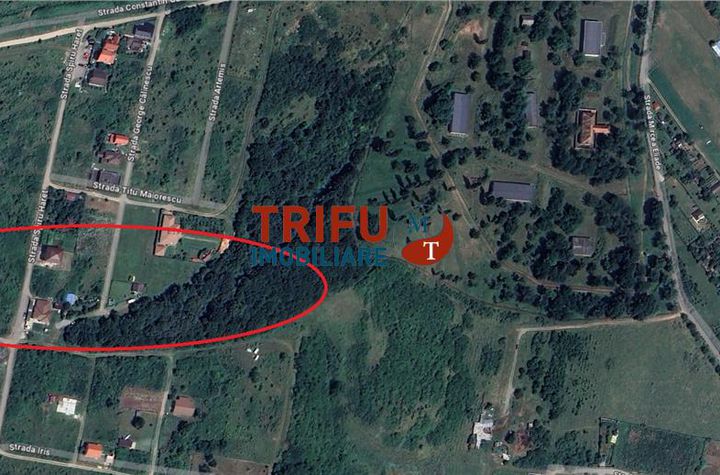 Teren Intravilan de vanzare CETATE - Alba anunturi imobiliare Alba