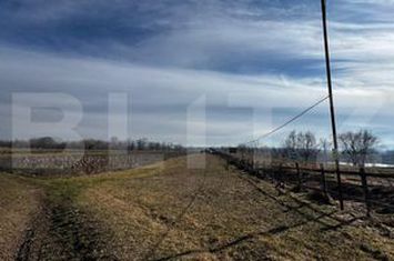 Teren de vanzare VINTU DE JOS - Alba anunturi imobiliare Alba