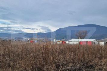 Teren de vanzare CODLEA - Brasov anunturi imobiliare Brasov