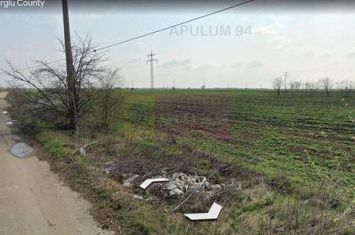 Teren de Închiriat 40ha Adunatii Copăceni | Industrial/ Logistic anunturi imobiliare Bucuresti
