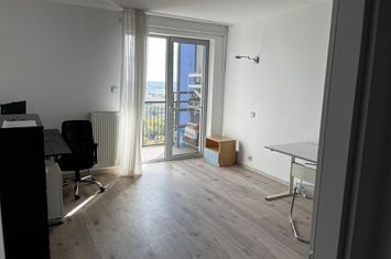 Vacaresti Asmita Gardens apartament 3 camere de inchiriat anunturi imobiliare Bucuresti