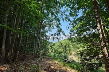 Teren Extravilan de vanzare BUCES - Hunedoara anunturi imobiliare Hunedoara