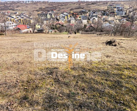 Teren Rediu, 3000 mp