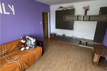 Apartament 2 camere de vanzare DAMBOVITA - Timis anunturi imobiliare Timis