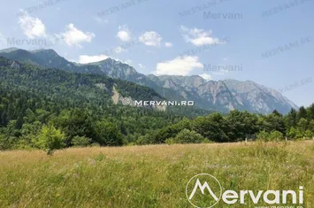 Teren Intravilan de vanzare SINAIA - Prahova anunturi imobiliare Prahova