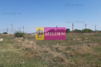 Teren pentru investitie langa Bucuresti anunturi imobiliare Bucuresti