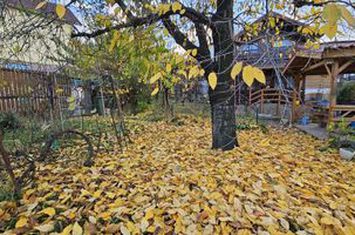Teren cu Certificat de urbanism pentru construire - Andrei Muresanu anunturi imobiliare Cluj