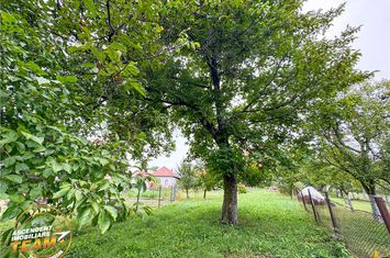 Casă - 4 camere de vanzare LEMNIA - Covasna anunturi imobiliare Covasna