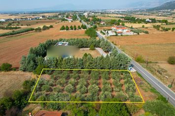 Teren construibil 1667 mp în Choristi, Drama anunturi imobiliare Grecia