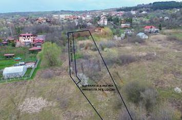 Teren Soseaua Bucium 5006 mp Intravilan - PUZ Aprobat - 6 Loturi anunturi imobiliare Iasi