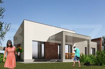 Teren de vanzare PLAIUL VULCANESTI - Dolj anunturi imobiliare Dolj