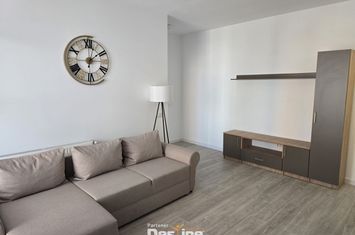 Apartament 2 camere de inchiriat IASI - Iasi anunturi imobiliare Iasi