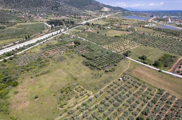 Teren construibil 6.500 mp în Pontolivado, Kavala anunturi imobiliare Grecia