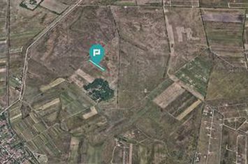 Investiție cu potențial ridicat, teren 10.000 mp anunturi imobiliare Timis