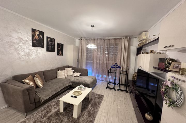 Apartament 2 camere de vanzare LIPOVEI - Timis anunturi imobiliare Timis