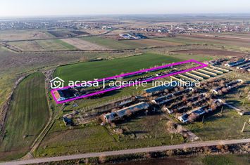 NĂDLAC | Teren 1.15 HA lângă Autostradă | 2.500mp Hale anunturi imobiliare Arad