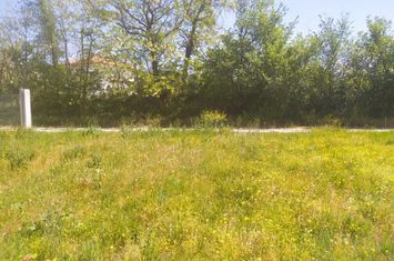 Teren construibil 2.950 mp în Sidirokastro Serres anunturi imobiliare Grecia