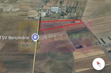 Teren 40ha Adunatii Copăceni | Industrial/ Logistic anunturi imobiliare Giurgiu