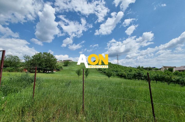 De vanzare 998 mp teren intravilan, Cetate anunturi imobiliare Alba