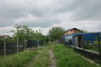 Teghes-padure anunturi imobiliare Bucuresti