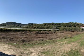 Teren 3.500 mp în Elaiochori, Kavala anunturi imobiliare Grecia