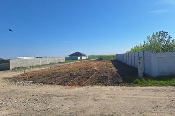 Teren de vanzare AEROPORT - Dolj anunturi imobiliare Dolj