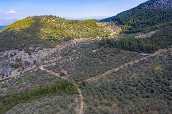 Teren construibil 13668 mp în Rachoni, Thassos anunturi imobiliare Grecia