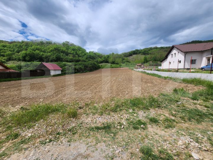 Teren de vanzare VINTU DE JOS - Alba anunturi imobiliare Alba