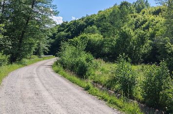 1,3 HA TEREN EXTRAVILAN FANEATA, in Muntii Apuseni, Negreni, jud. Cluj anunturi imobiliare Cluj