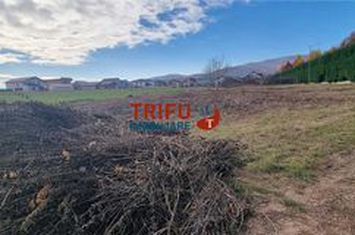 Teren Intravilan de vanzare CENTRAL - Alba anunturi imobiliare Alba