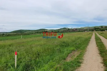 Teren Intravilan de vanzare BARABANT - Alba anunturi imobiliare Alba