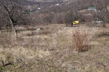 Teren de vanzare PODGORIA - Bihor anunturi imobiliare Bihor
